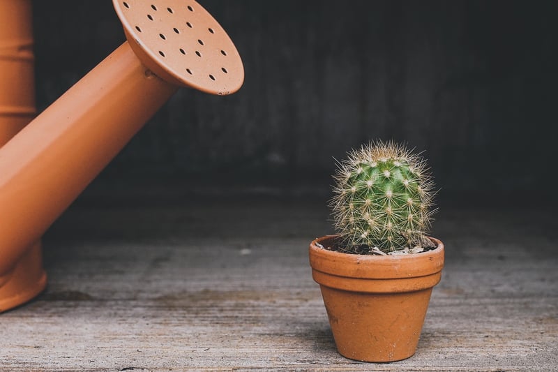 Upcycled Pots